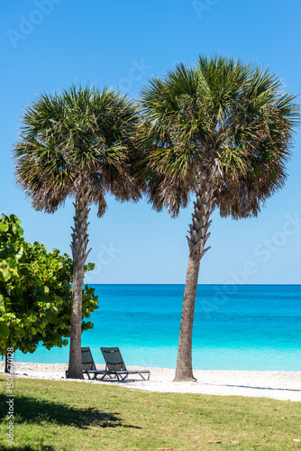 The stunning seascape of the Bahamas is perfect for holiday travel. The island features crystal-clear water and palm trees on the sand. Sun loungers sit in the shade of a palm tree by the shore.
