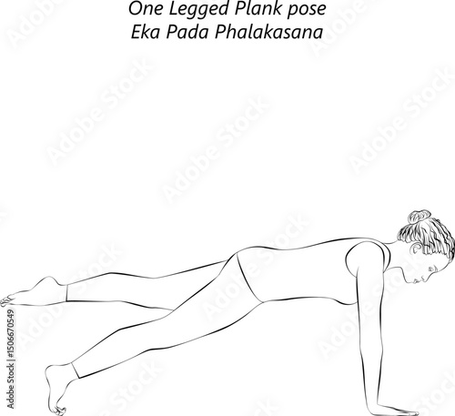 Sketch of young woman practicing Eka Pada Phalakasana yoga pose. One Legged Plank yoga pose. Intermediate Difficulty. Isolated vector illustration.