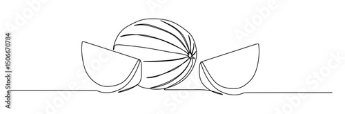 continuous single line art of a whole and split watermelon with curved and snaking lines