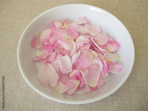Fresh wild rose petals from the dog rose on a plate, Rosa canina