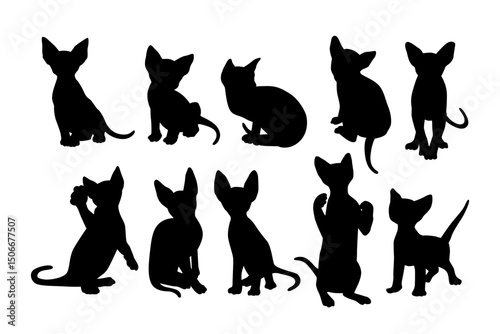 kitten cat silhouette set