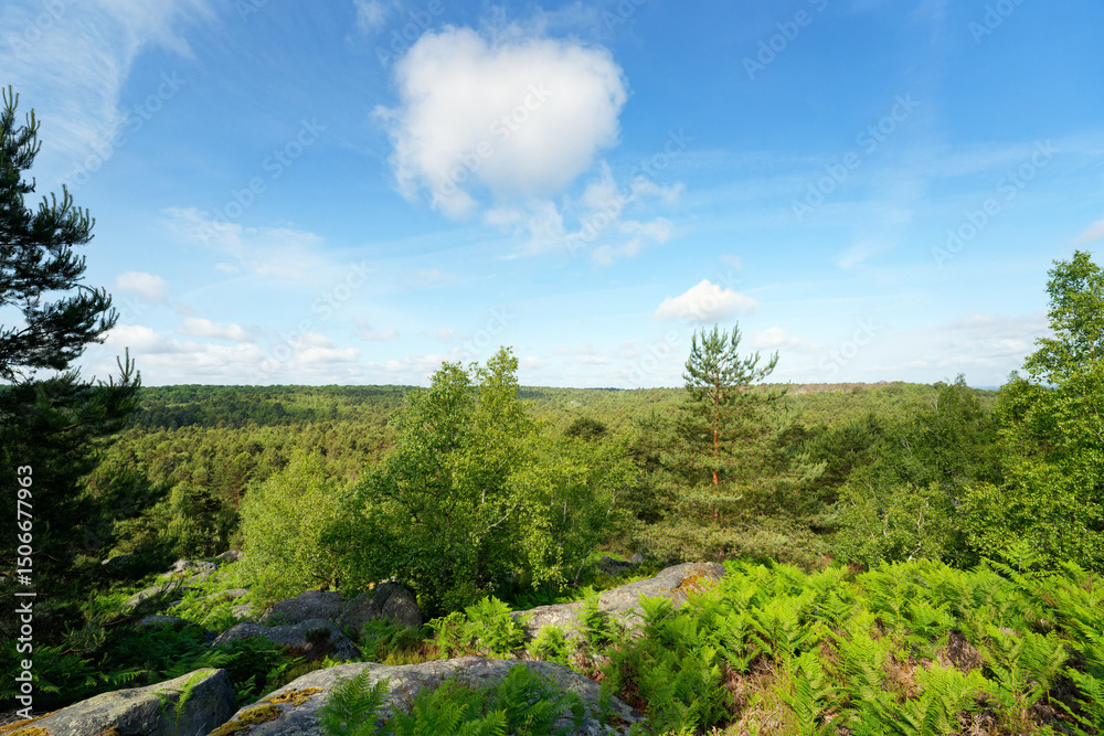 Obraz premium Panoramic view of the Apremont gorges in fontainebleau forest