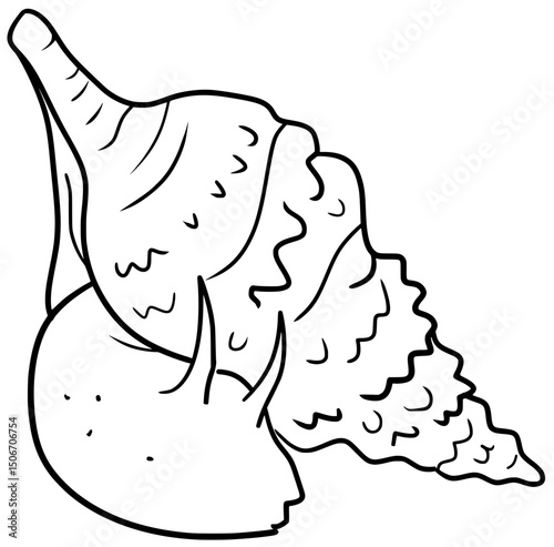Conch Snail Vector Outline Line Art Illustration