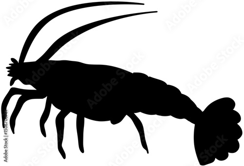 Caribbean Spiny Lobster Silhouette Shadow Vector
