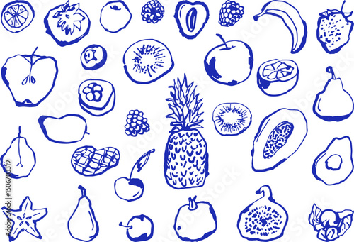 Hand drawn fruit illustration collection featuring a diverse selection of tropical and citrus produce