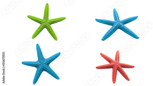 Colorful starfish collection: green, blue, and red starfish isolated on transparent background