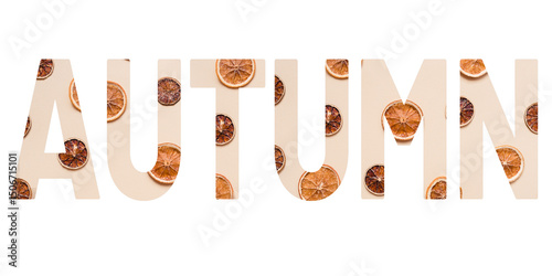 Autumn concept banner with creative text cutout effect and organic dried orange elements