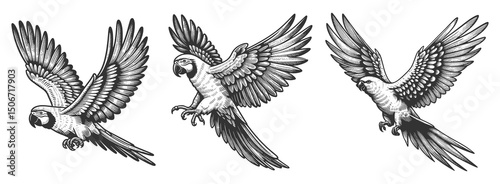 Parrot Set collection bundle sketch engraving generative ai vector illustration. Scratch board imitation. Black and white image.