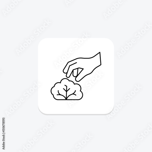 Hand Picking Lettuce, vector, pixel perfect, illustrator file