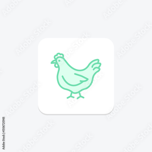 Chicken In Organic Farm, vector, pixel perfect, illustrator file