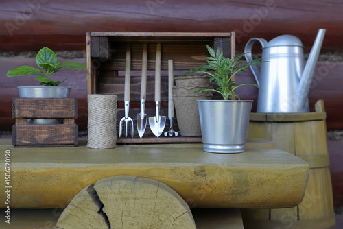 On a yellow wooden bench in front of a log wall are metal pots with flower plants, next to gardening tools and a yellow wooden barrel with metal watering can on it. Floriculture and gardening concept.