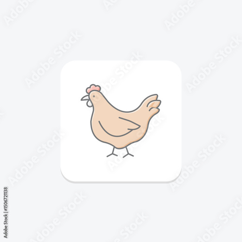 Chicken In Organic Farm, vector, pixel perfect, illustrator file