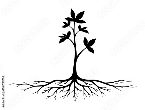 young plant with visible roots – minimalist growth vector