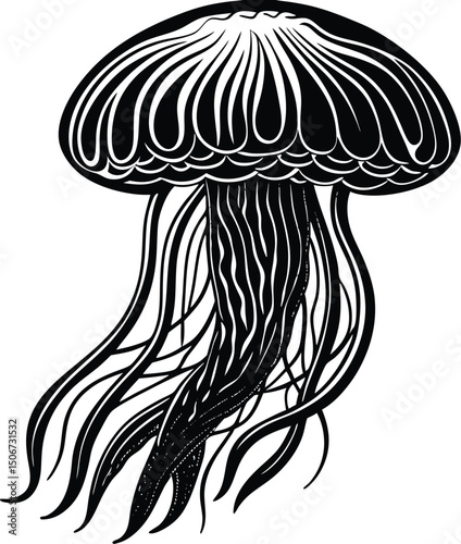 jellyfish vector isolated on white transparent background