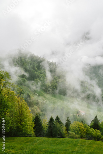 Nebelschwaden in den Bäumen und Tälern der Berge