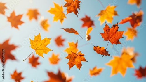 Orange and red leaves are falling