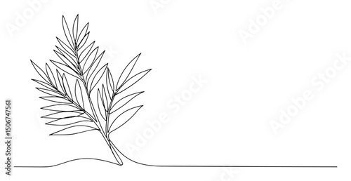 palm leaf vector illustration
