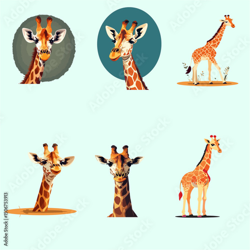 best quality giraff vector illustration