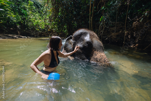 Photos woman wearing a swimsuit gently pets an elephant in shallow water while surrounded by thick greenery