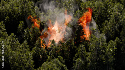 Obraz na plátně Bright flames engulf trees in a dense forest as smoke billows into the air
