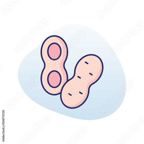 Peanuts  Vector icon