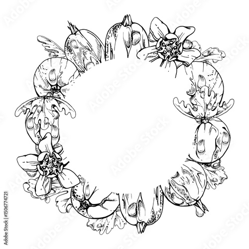Gooseberry Currant berries, leaves and flowers, water splash dew drops, wreath hand drawn in vector ink. Ripe garden juneberry casseille jostaberry. Isolated circle frame. Fresh grocery, dessert menu