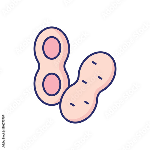 Peanuts  Vector icon
