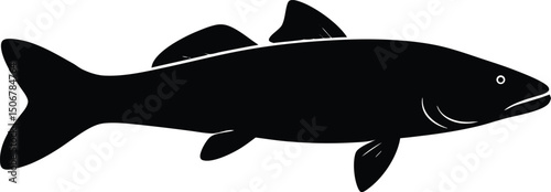 fish vector