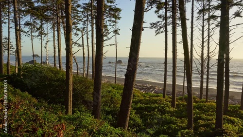 Sunlight filters through coastal trees with a scenic view of Ruby Beach and ocean waves in Washington state. 4K UHD video.