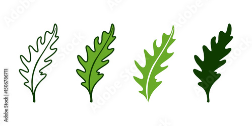 Arugula leaf icon set, logo collection, leafy vegetables. Microgreen. Isolated on white background.