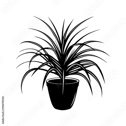 Black silhouette of potted houseplant Spider with long leaves on white background.