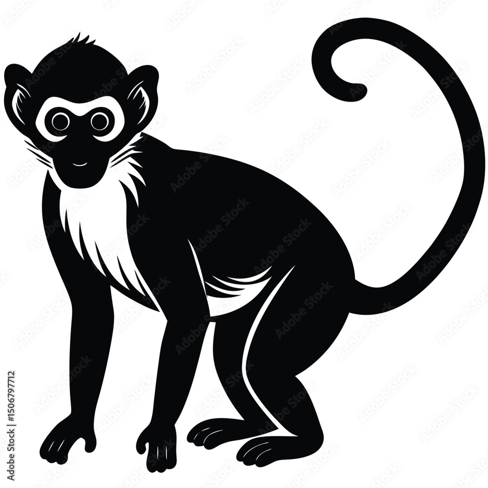 Obraz premium vervet monkey vector