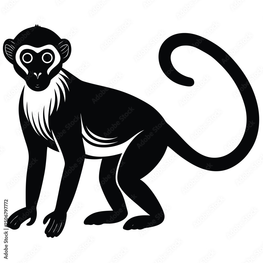 Fototapeta premium vervet monkey vector
