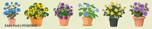 Colorful potted flowers illustration, isolated vector set
