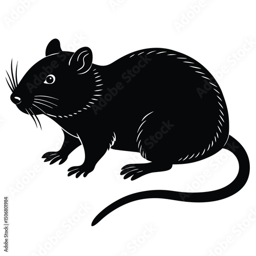 vole vector animal