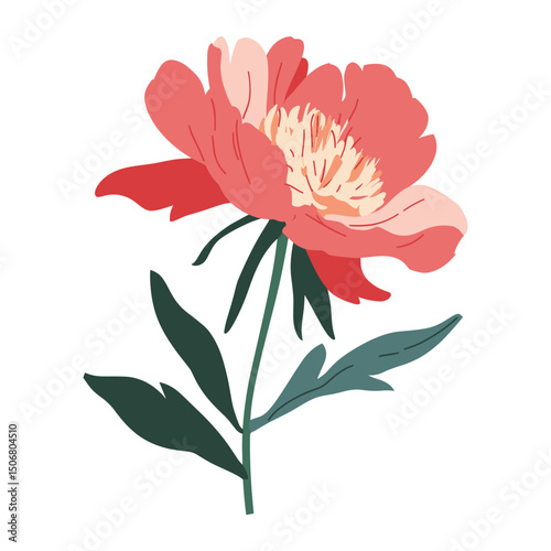 Peony illustration flower decorative vector