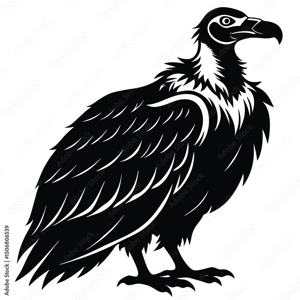 Obraz premium vulture vector sihouette