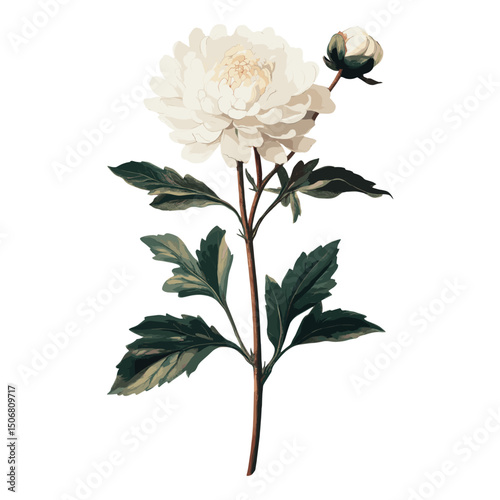 Illustration vintage flower plant vector