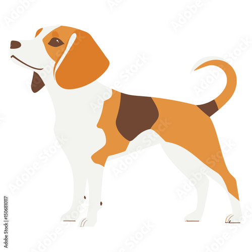 Beagle beagle dog illustration vector