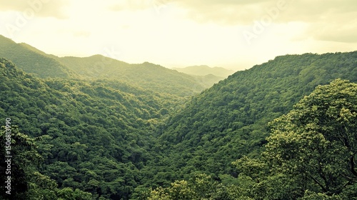 mountain landscape in the morning