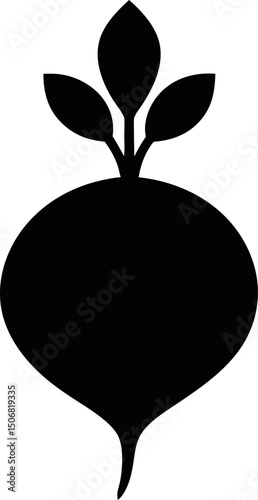 radish vector 