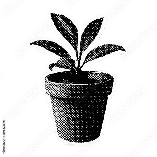 Monochrome potted plant illustration  vector