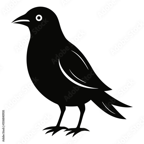 Bird silhouette vector Style with white background