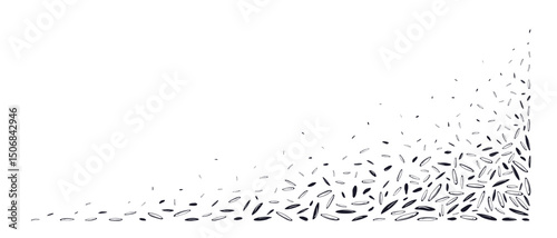 Rice seeds. Black cumin. Cereal backdrop, border