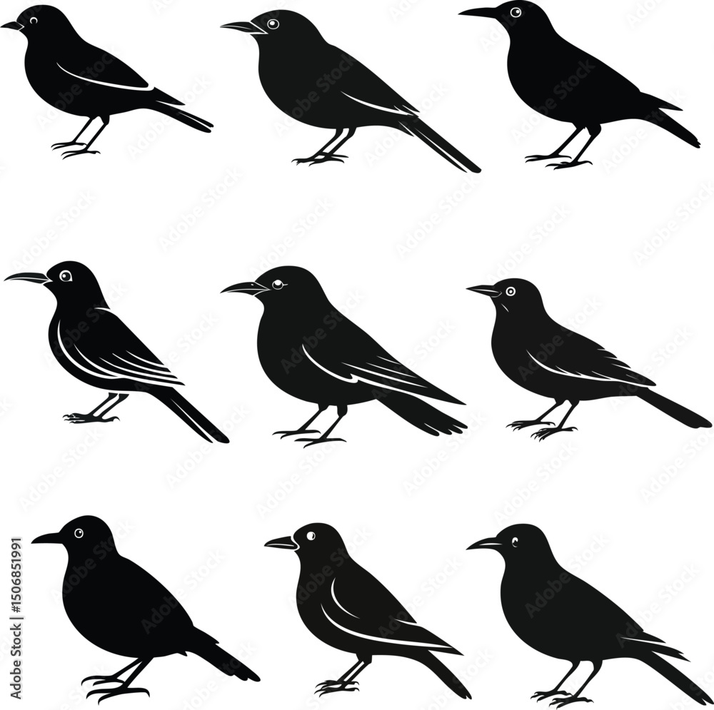 Fototapeta premium set of birds silhouette on white
