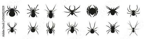 Set of black spider icons. Halloween spider icons. Spider silhouette collection vector illustration
