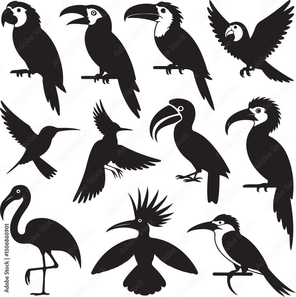 Obraz premium Black Silhouette Vector Bundle of 10 Exotic Birds with Distinctive Features