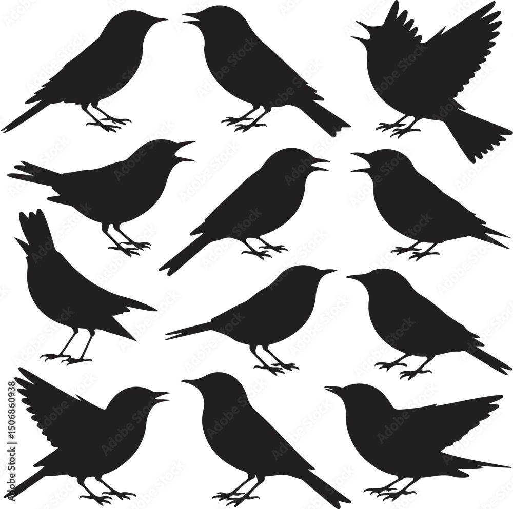 Fototapeta premium Black Silhouette Vector Bundle of 10 Songbirds in Singing and Flight Poses