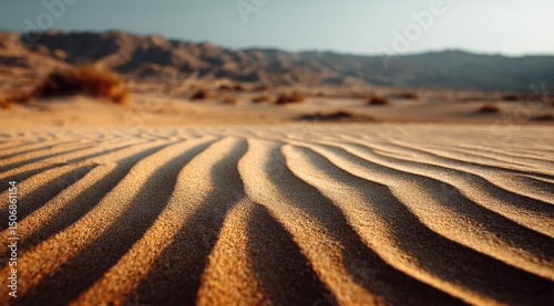 Fototapeta Naklejka Na Ścianę i Meble -  sand dunes in the desert