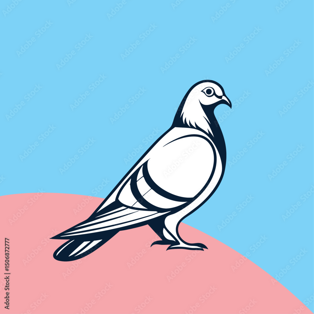 Obraz premium Pigeon